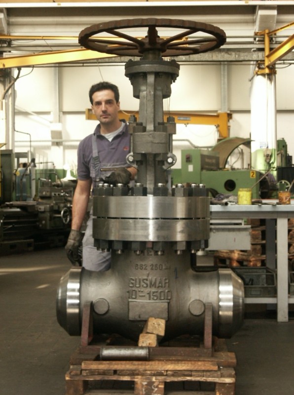 Gate valve class 1500 10 inches