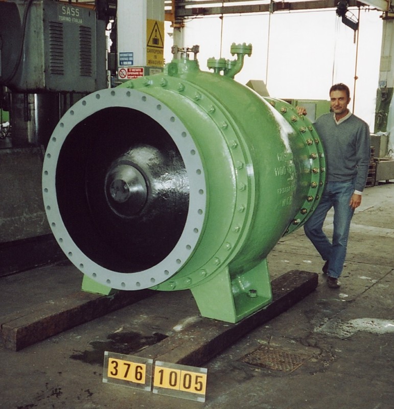 Nozzle check valve DN 1100
