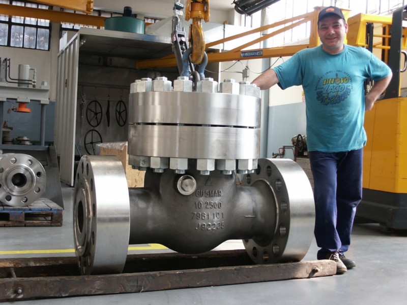 Swing check valve class 2500 10 inches J92205